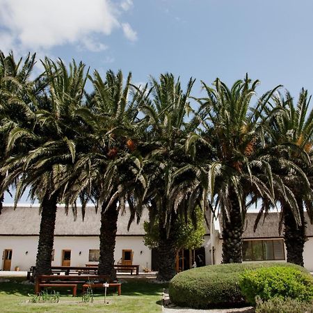 Springfontein Wine Estate Hotel Stanford Exterior photo
