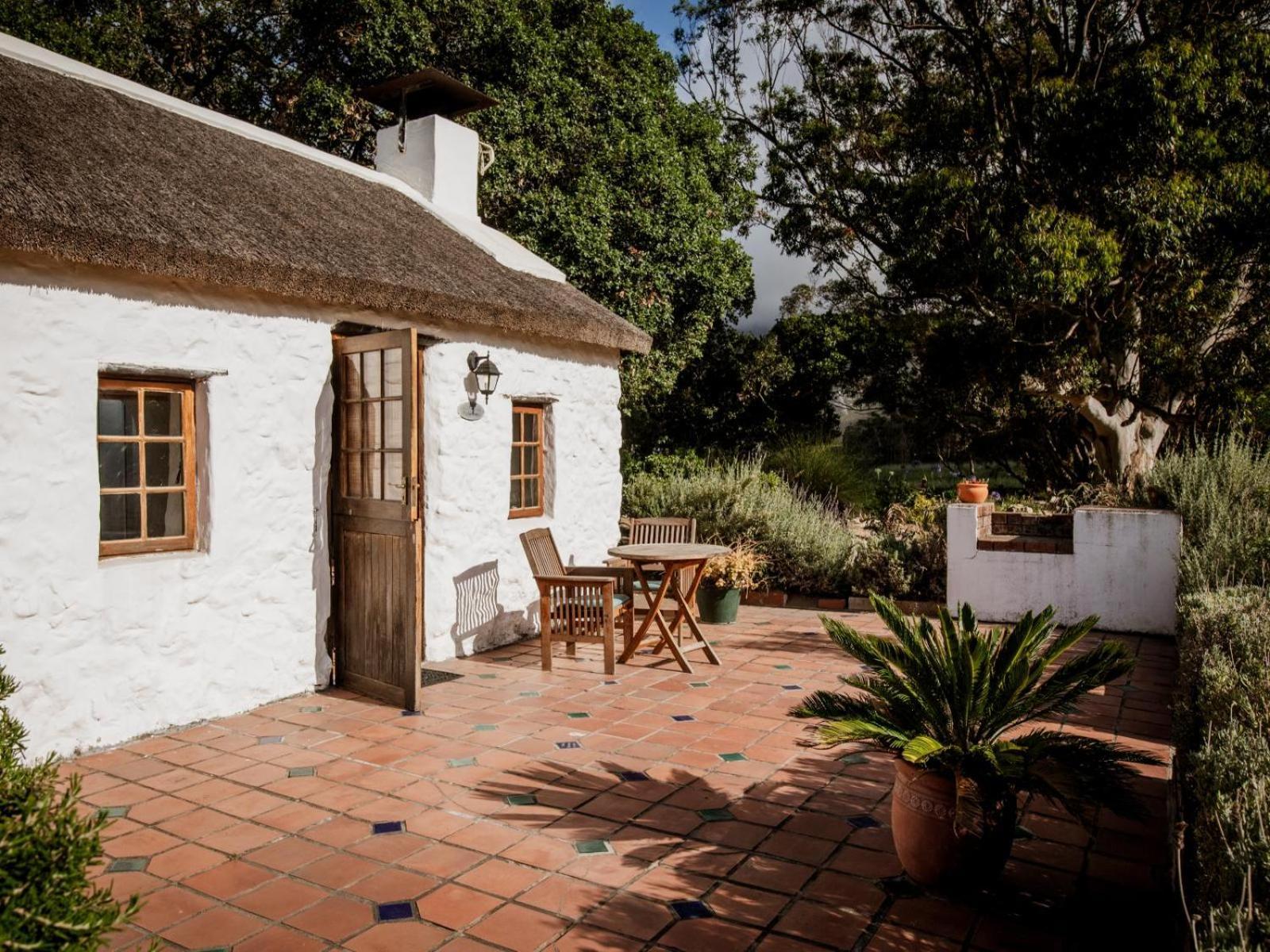Springfontein Wine Estate Hotel Stanford Exterior photo