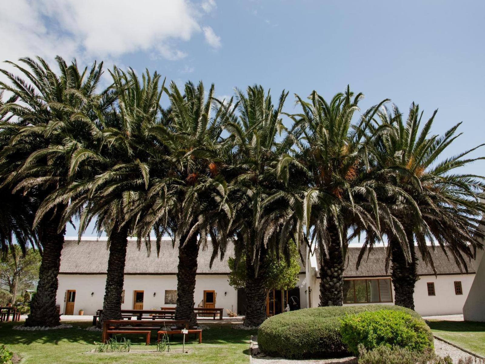 Springfontein Wine Estate Hotel Stanford Exterior photo