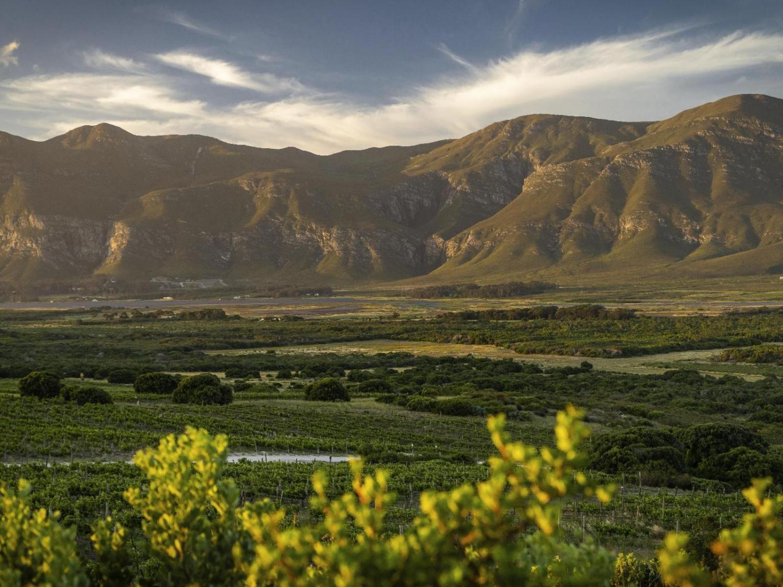 Springfontein Wine Estate Hotel Stanford Exterior photo