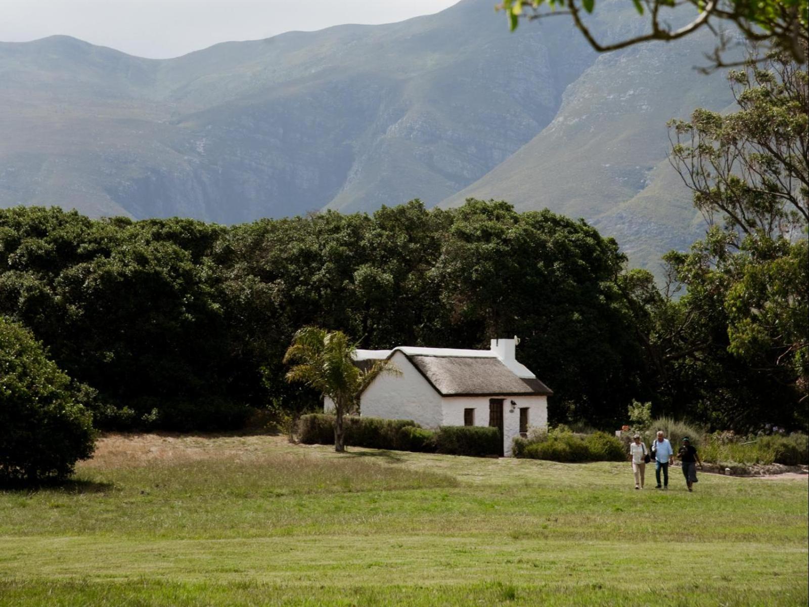 Springfontein Wine Estate Hotel Stanford Exterior photo